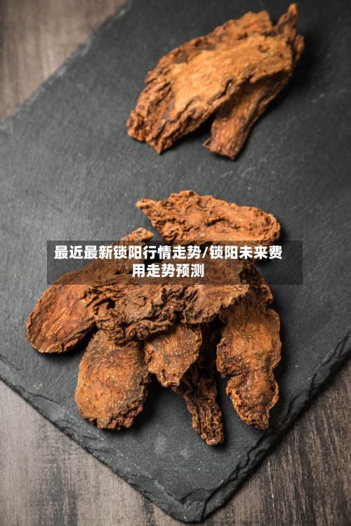 最近最新锁阳行情走势/锁阳未来费用走势预测-第2张图片