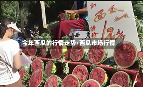今年西瓜的行情走势/西瓜市场行情-第2张图片