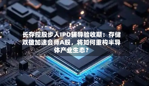 长存控股步入IPO辅导验收期：存储双雄加速会师A股	，将如何重构半导体产业生态？-第2张图片