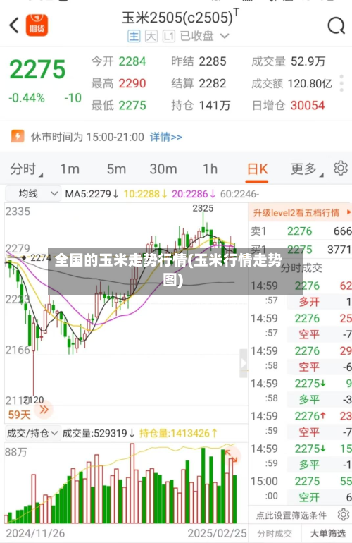 全国的玉米走势行情(玉米行情走势图)-第1张图片