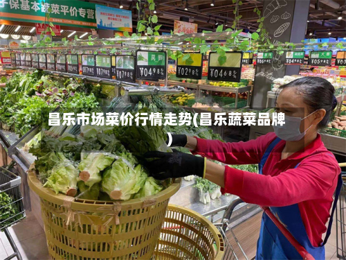 昌乐市场菜价行情走势(昌乐蔬菜品牌)-第2张图片
