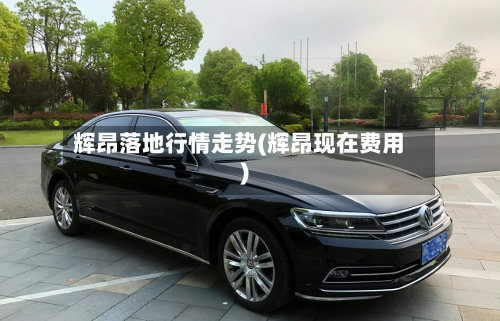辉昂落地行情走势(辉昂现在费用)-第1张图片
