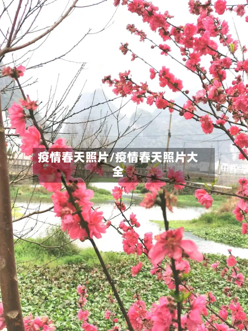 疫情春天照片/疫情春天照片大全-第3张图片