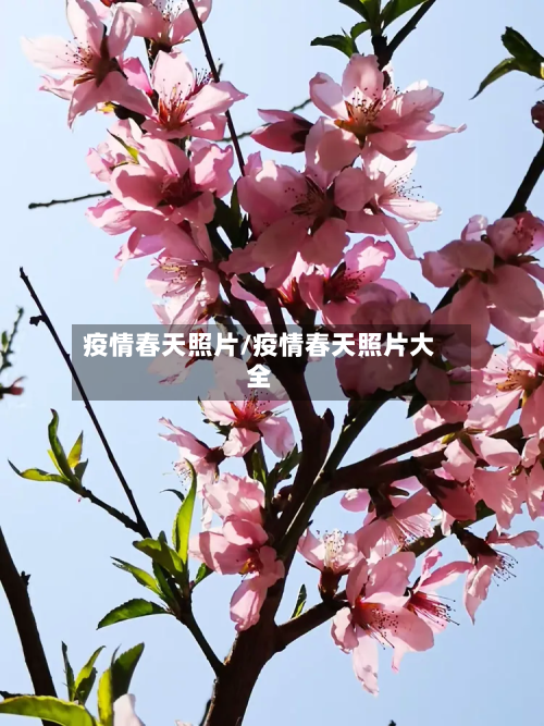 疫情春天照片/疫情春天照片大全-第2张图片