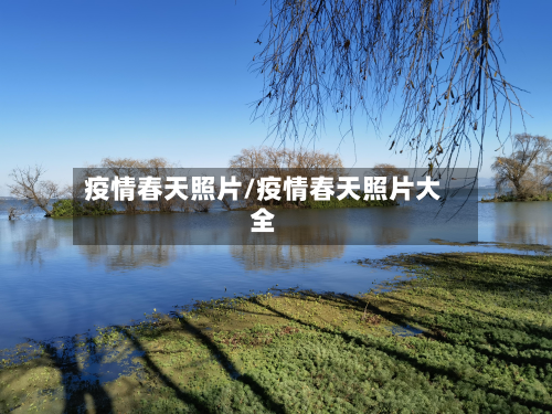 疫情春天照片/疫情春天照片大全-第1张图片