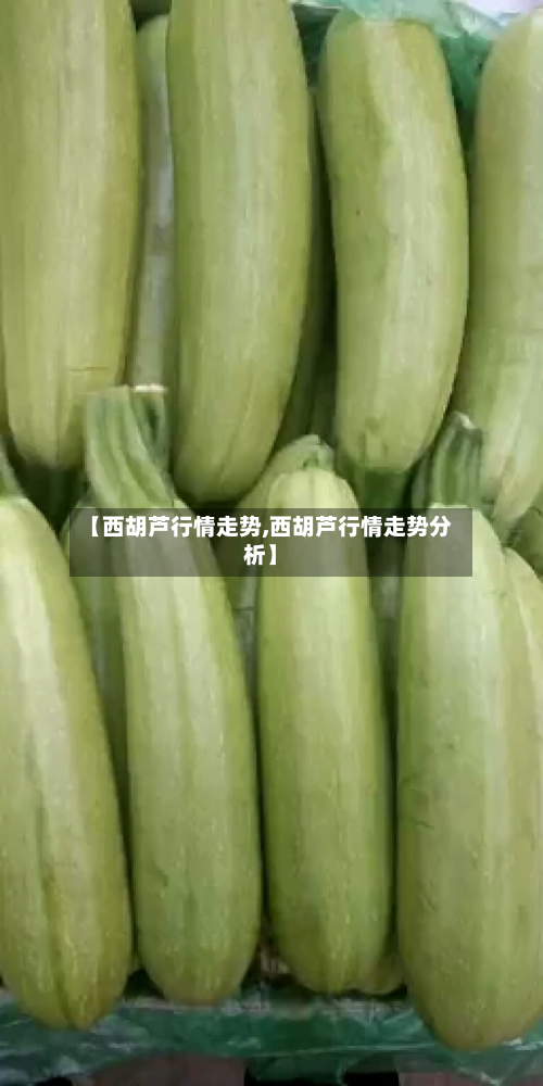 【西胡芦行情走势,西胡芦行情走势分析】-第1张图片