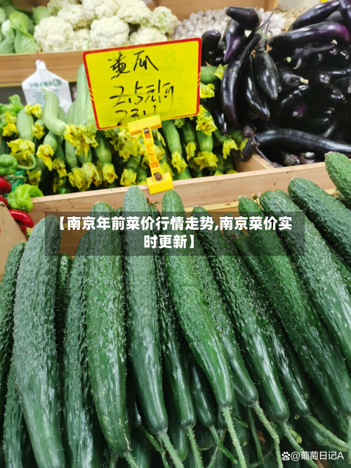 【南京年前菜价行情走势,南京菜价实时更新】-第1张图片