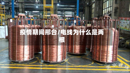 疫情期间邢台/电线为什么是两根-第3张图片