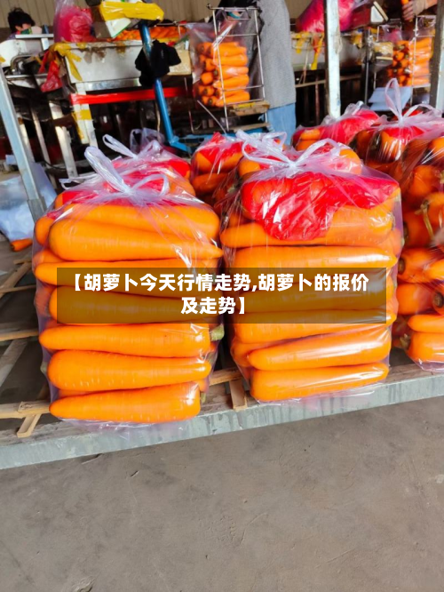 【胡萝卜今天行情走势,胡萝卜的报价及走势】-第1张图片