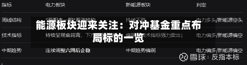 能源板块迎来关注:对冲基金重点布局标的一览-第1张图片