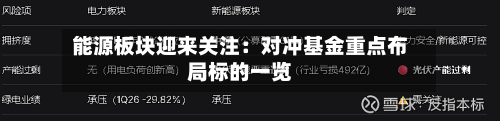 能源板块迎来关注:对冲基金重点布局标的一览-第2张图片