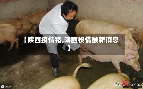【陕西疫情猪,陕西役情最新消息】-第1张图片