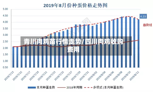 青川肉鸡苗行情走势/四川肉鸡收购费用-第1张图片