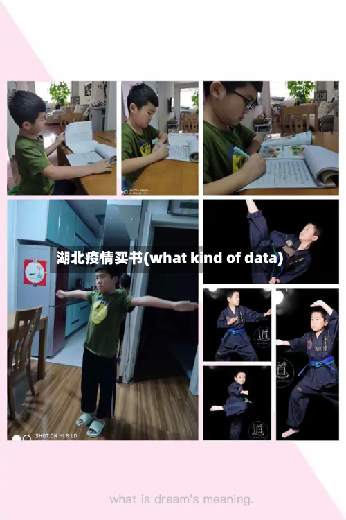 湖北疫情买书(what kind of data)-第2张图片