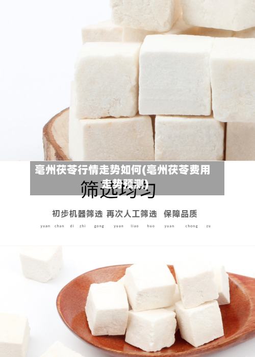 毫州茯苓行情走势如何(亳州茯苓费用走势预测)-第1张图片