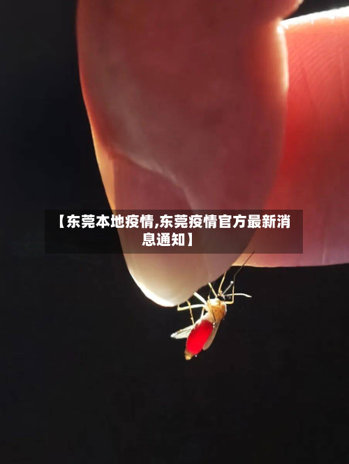 【东莞本地疫情,东莞疫情官方最新消息通知】-第1张图片