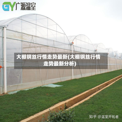 大棚钢丝行情走势最新(大棚钢丝行情走势最新分析)-第1张图片