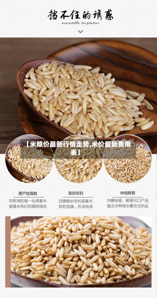 【米粮价最新行情走势,米价最新费用表】-第1张图片