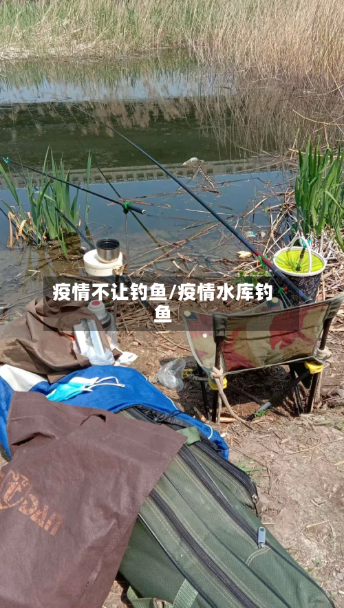 疫情不让钓鱼/疫情水库钓鱼-第1张图片