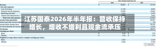 江苏国泰2026年半年报：营收保持增长，增收不增利且现金流承压-第1张图片