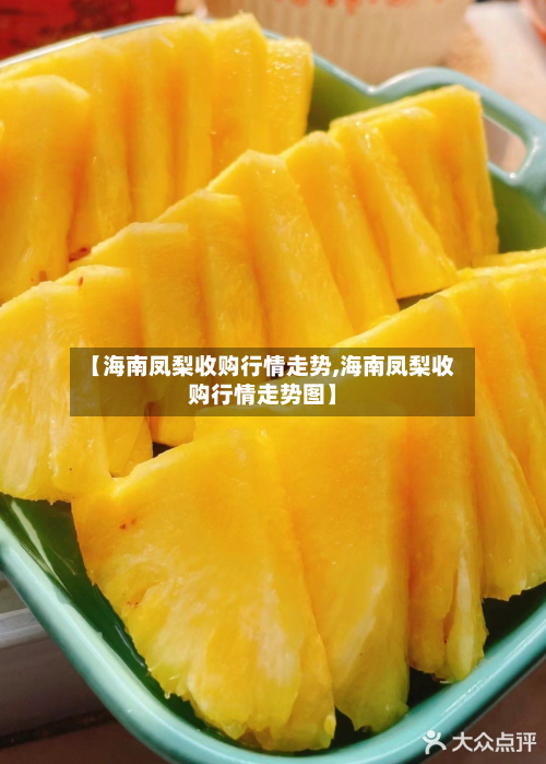 【海南凤梨收购行情走势,海南凤梨收购行情走势图】-第1张图片