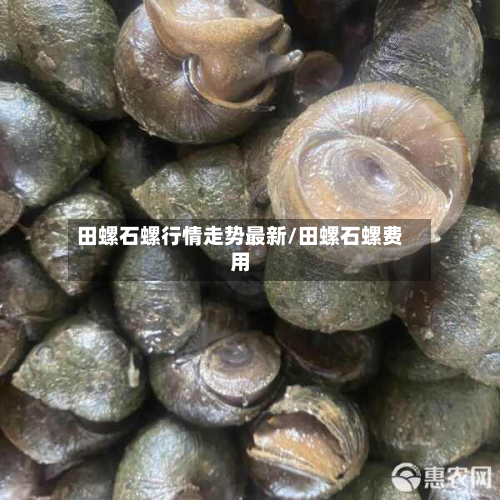 田螺石螺行情走势最新/田螺石螺费用-第2张图片