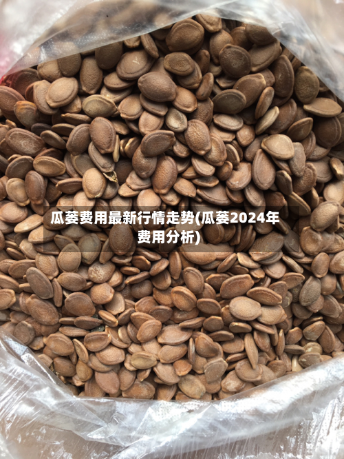 瓜蒌费用最新行情走势(瓜蒌2024年费用分析)-第1张图片