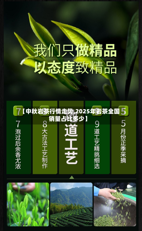 【中秋岩茶行情走势,2025年岩茶全国销量占比多少】-第1张图片