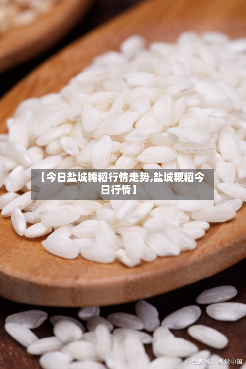 【今日盐城糯稻行情走势,盐城粳稻今日行情】-第1张图片