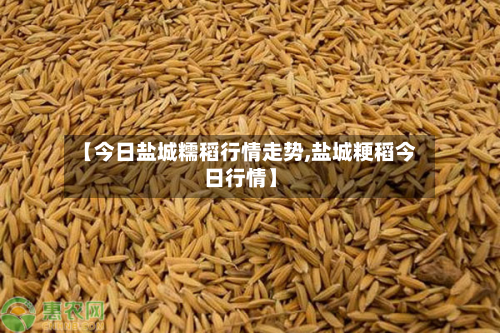 【今日盐城糯稻行情走势,盐城粳稻今日行情】-第2张图片
