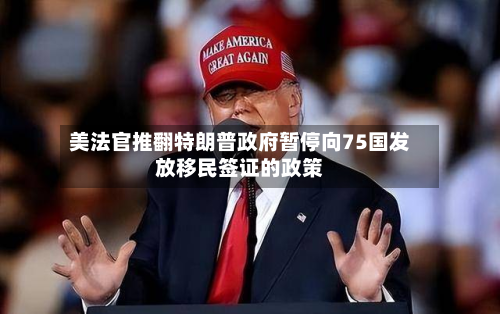 美法官推翻特朗普政府暂停向75国发放移民签证的政策-第3张图片