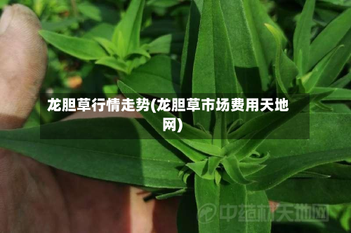 龙胆草行情走势(龙胆草市场费用天地网)-第1张图片