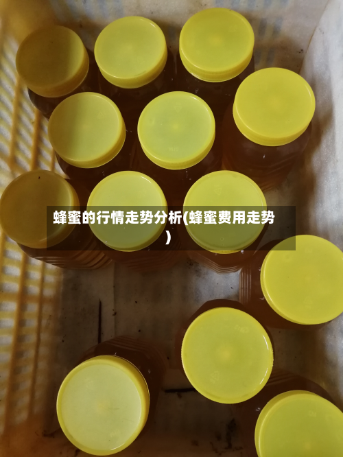 蜂蜜的行情走势分析(蜂蜜费用走势)-第2张图片