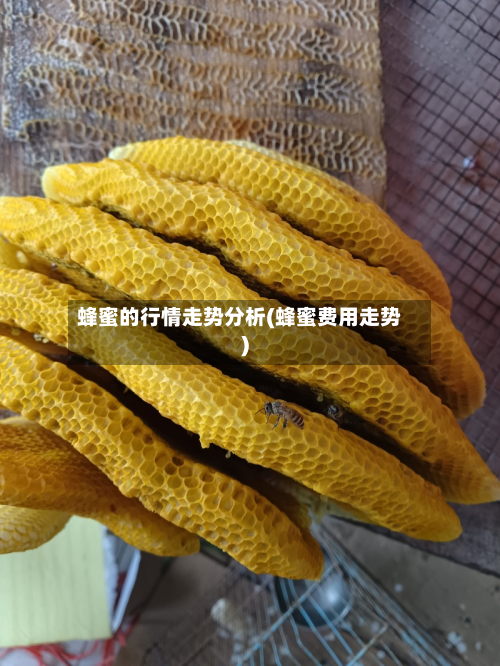 蜂蜜的行情走势分析(蜂蜜费用走势)-第1张图片