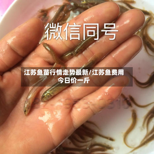 江苏鱼苗行情走势最新/江苏鱼费用今日价一斤-第2张图片
