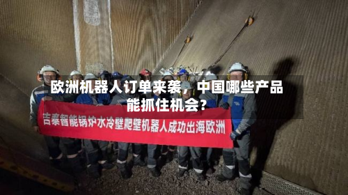 欧洲机器人订单来袭，中国哪些产品能抓住机会？-第3张图片