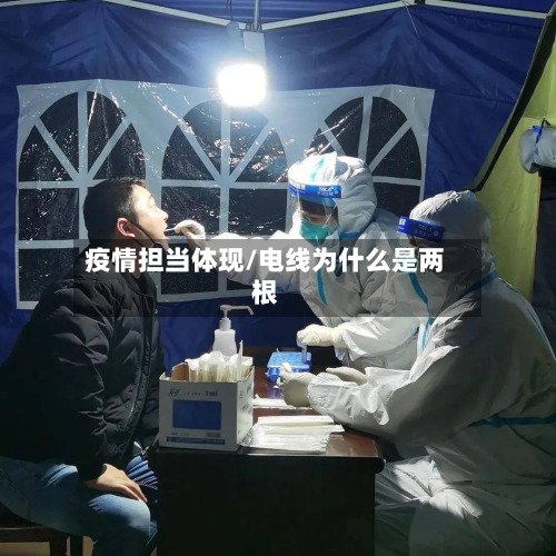 疫情担当体现/电线为什么是两根-第2张图片