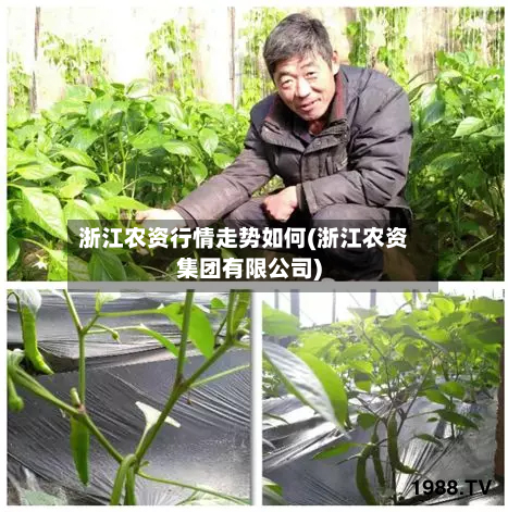 浙江农资行情走势如何(浙江农资集团有限公司)-第1张图片