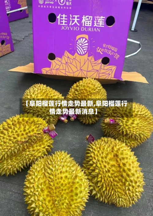 【阜阳榴莲行情走势最新,阜阳榴莲行情走势最新消息】-第1张图片