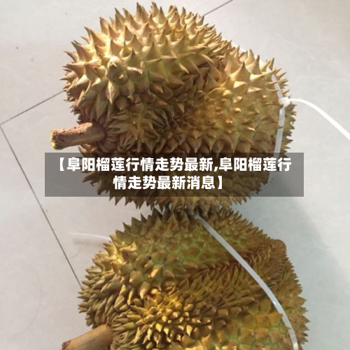 【阜阳榴莲行情走势最新,阜阳榴莲行情走势最新消息】-第3张图片