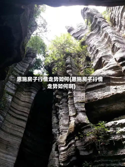 恩施房子行情走势如何(恩施房子行情走势如何啊)-第1张图片