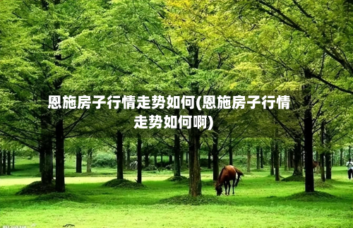 恩施房子行情走势如何(恩施房子行情走势如何啊)-第3张图片