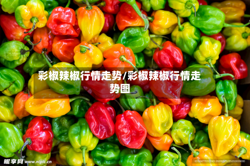 彩椒辣椒行情走势/彩椒辣椒行情走势图-第1张图片