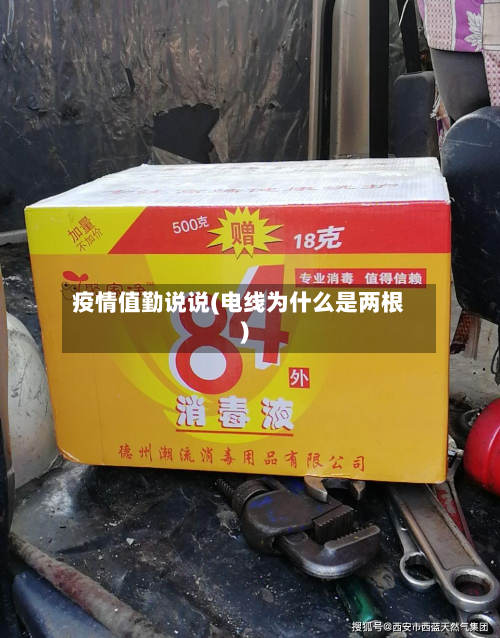 疫情值勤说说(电线为什么是两根)-第2张图片