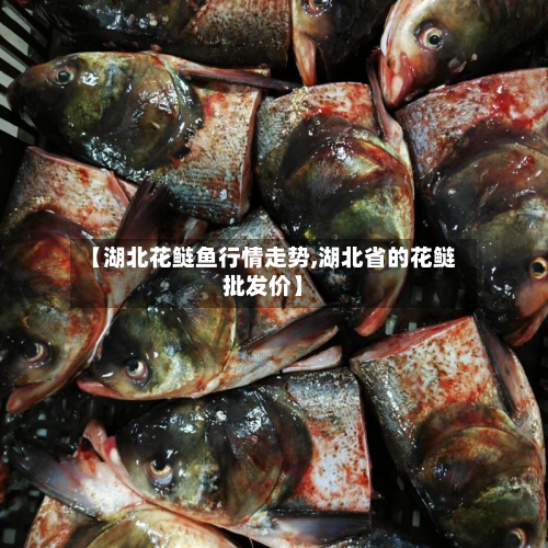 【湖北花鲢鱼行情走势,湖北省的花鲢批发价】-第1张图片