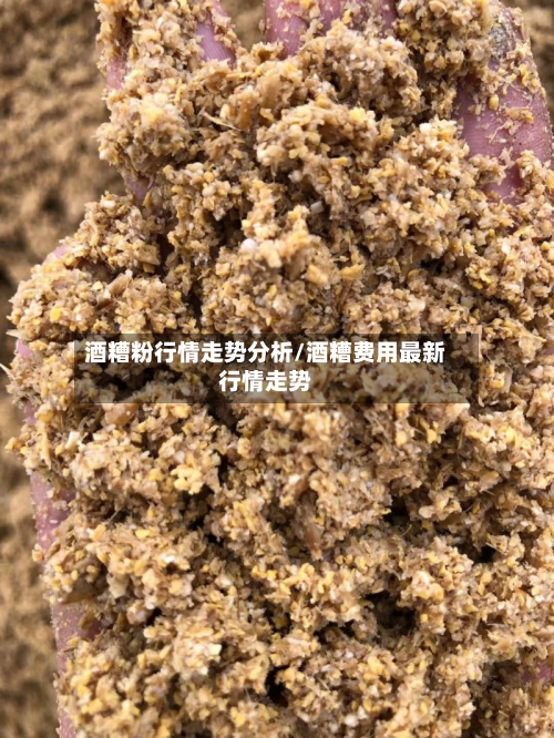 酒糟粉行情走势分析/酒糟费用最新行情走势-第2张图片