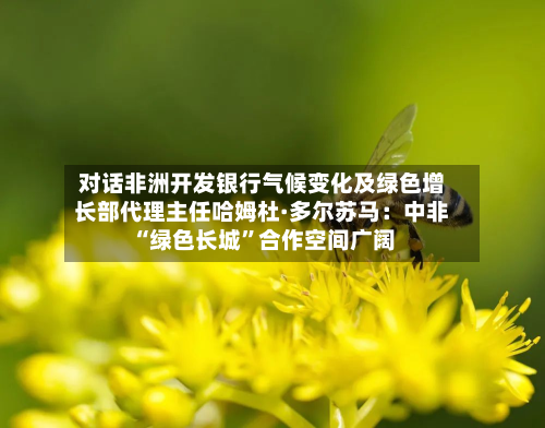 对话非洲开发银行气候变化及绿色增长部代理主任哈姆杜·多尔苏马：中非“绿色长城	”合作空间广阔-第1张图片