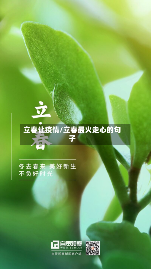 立春让疫情/立春最火走心的句子-第3张图片