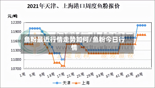 鱼粉最近行情走势如何/鱼粉今日行情-第1张图片
