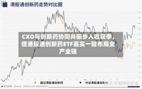 CXO与创新药协同共振步入收获季，借港股通创新药ETF嘉实一键布局全产业链-第2张图片